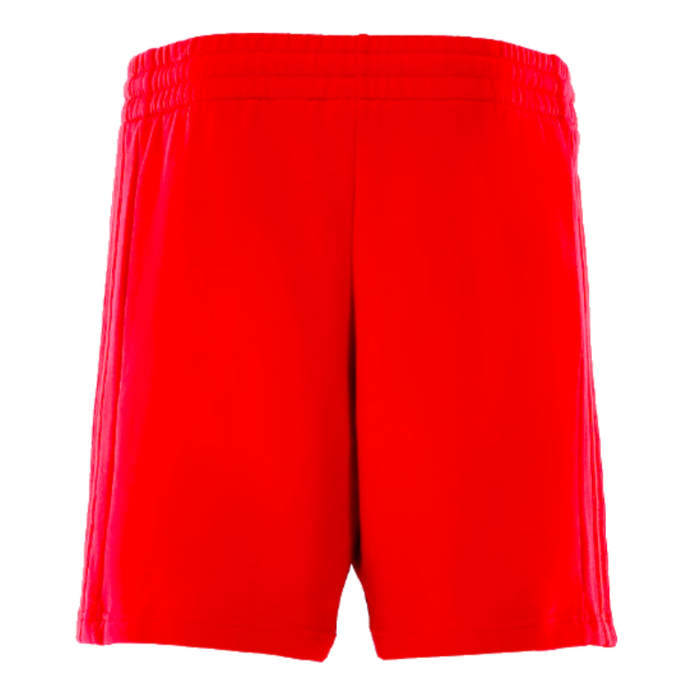 2024-2025 Bayern Munich DNA Shorts (Red)_1