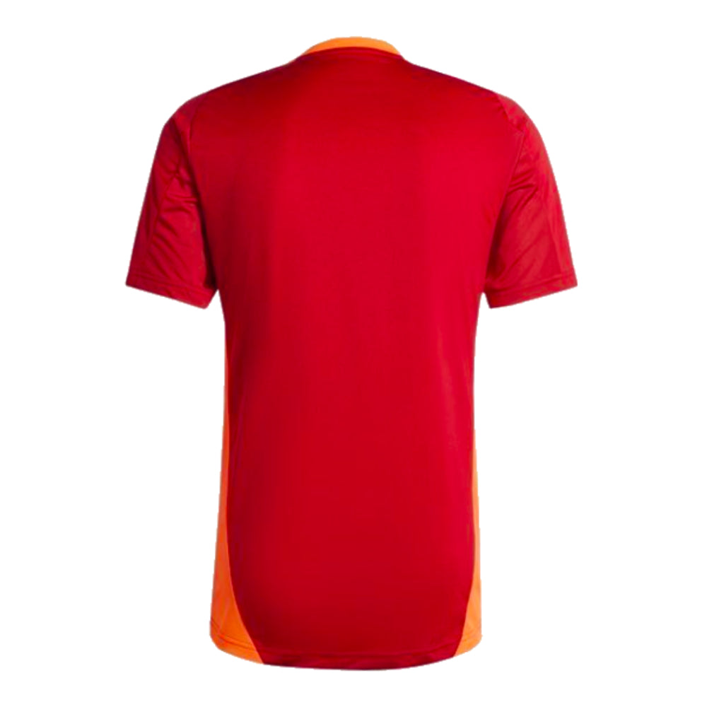 2024-2025 Bayern Munich Training Shirt (Red)_1