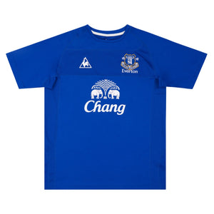Everton 2010-11 Home Shirt (Saha #8) (S) (Very Good)_1