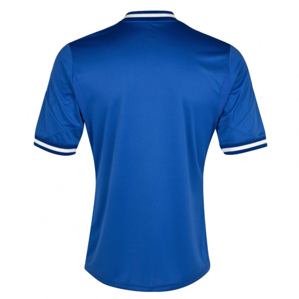 Chelsea 2013-14 Home Shirt (L) (Fair)_1